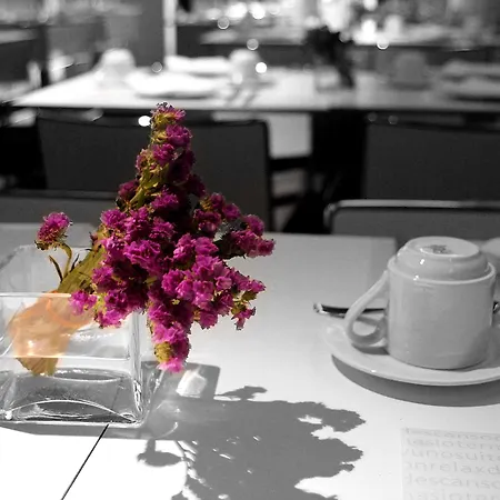 Ξενοδοχείο Miro 4*